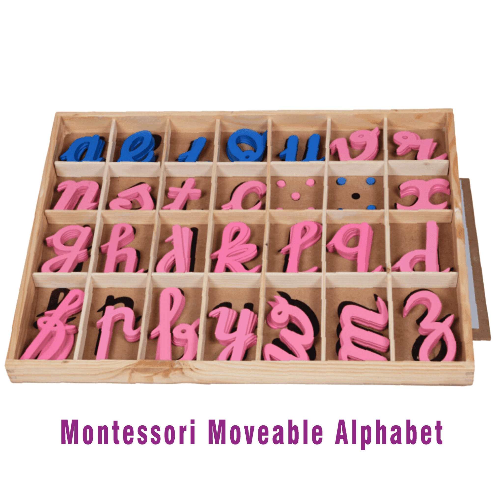 Montessori Material Movable Alphabet for Early Language Learning