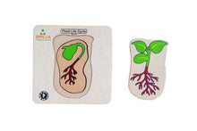 Load image into Gallery viewer, Wooden Multilayered Pick and Place Puzzle for Life Cycle- Variations