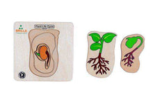 Load image into Gallery viewer, Wooden Multilayered Pick and Place Puzzle for Life Cycle- Variations