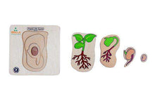 Load image into Gallery viewer, Wooden Multilayered Pick and Place Puzzle for Life Cycle- Variations