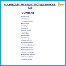 Load image into Gallery viewer, Preschool Books for Playgroup - My Bright Book of 123 - Brilla: One-Stop Solution for Preschool Resources