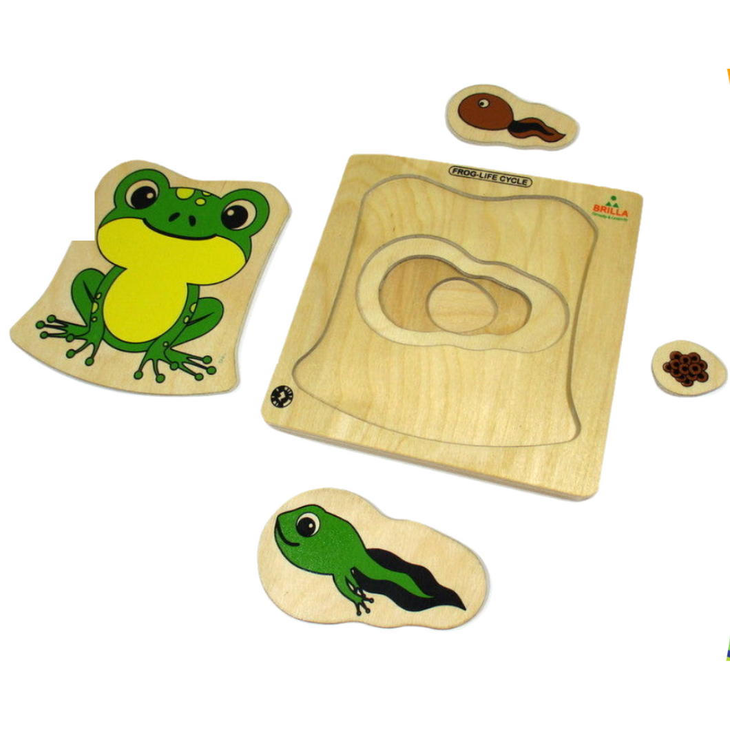 Wooden Multilayered Pick and Place Puzzle for Learning Life Cycle of Frog with Scan & Learn