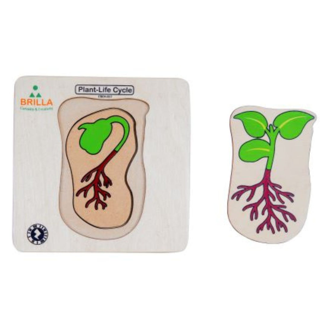 Wooden Multilayered Pick and Place Puzzle for Learning Life Cycle for Plant with Scan & Learn