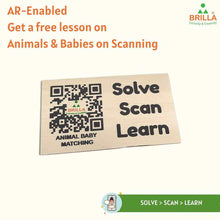 Load image into Gallery viewer, Montessori Materials - Wooden Learning Educational Equipment Matching.