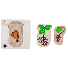 Load image into Gallery viewer, Wooden Multilayered Pick and Place Puzzle for Learning Life Cycle for Plant with Scan &amp; Learn
