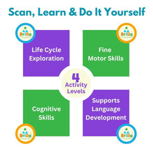 Load image into Gallery viewer, Wooden Puzzle β Multilayered Pick-and-Place Puzzle for Learning the Life Cycle of a Butterfly with Scan & Learn. - Brilla: One-Stop Solution for Preschool Resources