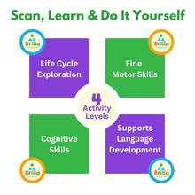 Load image into Gallery viewer, Wooden Puzzle Multilayered Pick and Place Puzzle for Learning Life Cycle of Frog with Scan & Learn - Brilla: One-Stop Solution for Preschool Resources