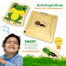Load image into Gallery viewer, Wooden Puzzle Multilayered Pick and Place Puzzle for Learning Life Cycle of Frog with Scan & Learn - Brilla: One-Stop Solution for Preschool Resources