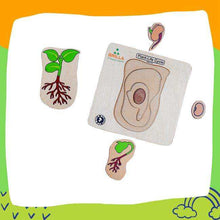 Load image into Gallery viewer, Wooden Multilayered Pick and Place Puzzle for Life Cycle- Variations
