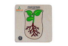 Load image into Gallery viewer, Wooden Multilayered Pick and Place Puzzle for Life Cycle- Variations