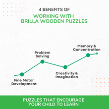 Load image into Gallery viewer, Montessori Materials Wooden Pick & Fix Tortoise Puzzle for Kids