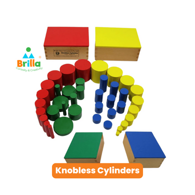 Montessori Materials - Premium Wooden Knobless Cylinders for Kids