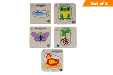 Load image into Gallery viewer, Brilla Wooden Multilayered Pick and Place Puzzle for Learning Life Cycle of Fish Life Cycle + Frog Life Cycle + Butterfly Life Cycle + Plant Life Cycle + Hen Life Cycle with Scan &amp; Learn (Set of 5)
