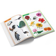 Load image into Gallery viewer, NURSERY- MY BRIGHT PICTURE BOOK OF GENERAL KNOWLEDGE
