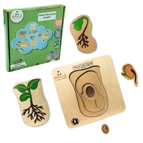 Wooden Multilayered Pick and Place Puzzle for Learning Life Cycle for Plant with Scan & Learn