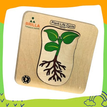 Load image into Gallery viewer, Wooden Multilayered Pick and Place Puzzle for Learning Life Cycle for Plant with Scan &amp; Learn
