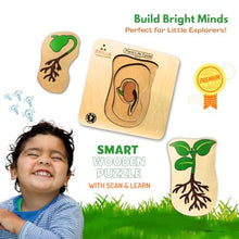 Load image into Gallery viewer, Wooden Multilayered Pick and Place Puzzle for Learning Life Cycle for Plant with Scan &amp; Learn
