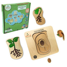 Load image into Gallery viewer, Wooden Multilayered Pick and Place Puzzle for Learning Life Cycle for Plant with Scan &amp; Learn
