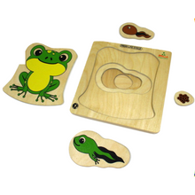 Load image into Gallery viewer, Wooden Multilayered Pick and Place Puzzle for Learning Life Cycle of Frog with Scan &amp; Learn
