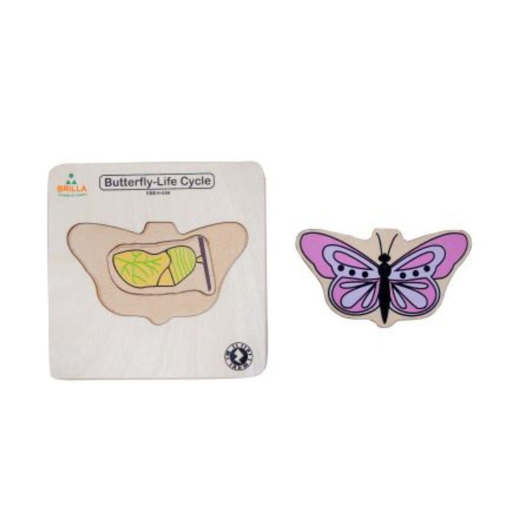Wooden Multilayered Pick and Place Puzzle for Learning Life Cycle of Butterfly with Scan & Learn