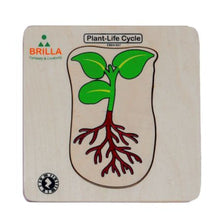 Load image into Gallery viewer, Wooden Multilayered Pick and Place Puzzle for Learning Life Cycle for Plant with Scan &amp; Learn
