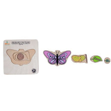 Load image into Gallery viewer, Wooden Multilayered Pick and Place Puzzle for Learning Life Cycle of Butterfly with Scan &amp; Learn
