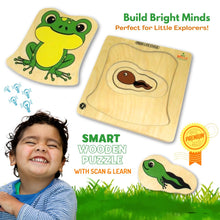 Load image into Gallery viewer, Wooden Multilayered Pick and Place Puzzle for Learning Life Cycle of Frog with Scan &amp; Learn
