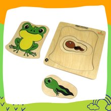 Load image into Gallery viewer, Brilla Wooden Multilayered Pick and Place Puzzle for Learning Life Cycle of Fish &amp; Frog with Scan &amp; Learn(Set of 2)
