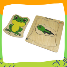 Load image into Gallery viewer, Brilla Wooden Multilayered Pick and Place Puzzle for Learning Life Cycle of Fish &amp; Frog with Scan &amp; Learn(Set of 2)
