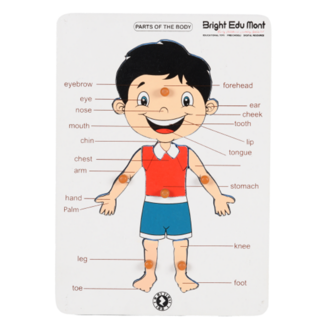 Wooden Educational Pick & Fix Puzzle - Parts of Body with Scan & Learn